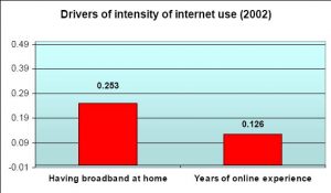Drivers of intensity of Internet use - 2002 - U.S. users