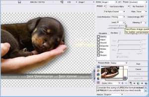 Web Image Guru optimizing a PNG24 with Color Reduction 132K