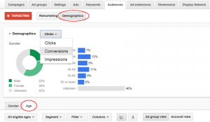 Demographics Targeting by Age