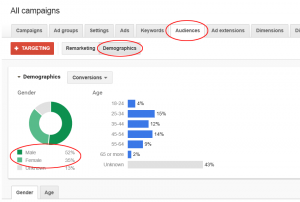 Audiences Demographics Gender Conversions