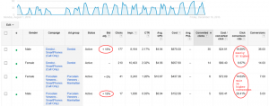 Ad Group View of Gender Performance